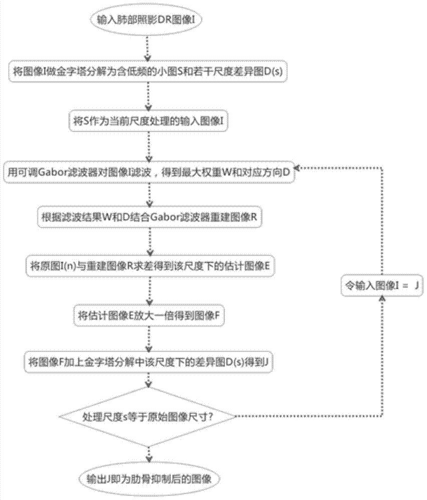 开云体育